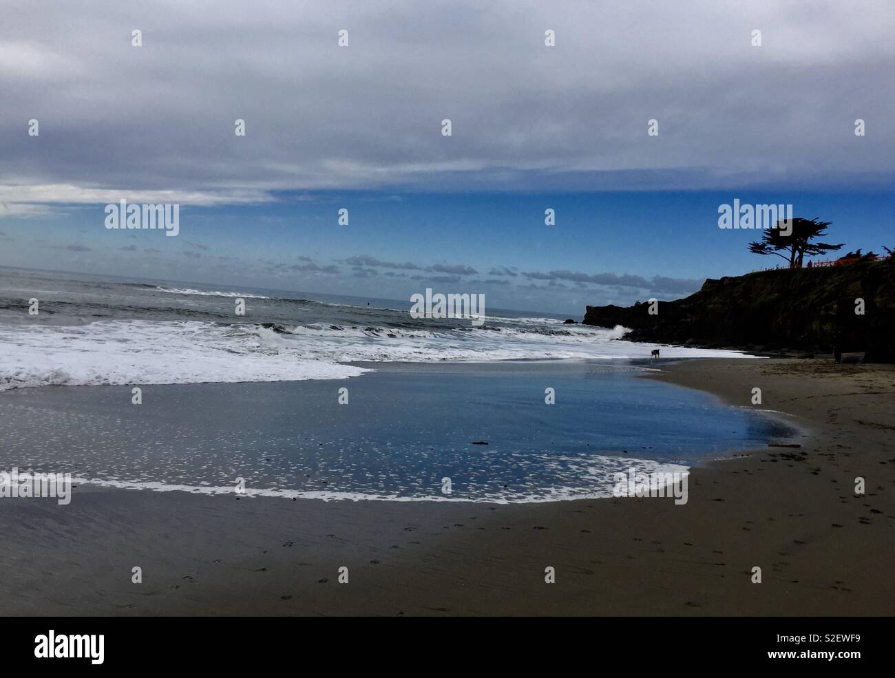 Strand von Santa Cruz - Smartphone-aufgenommenes Stockfoto