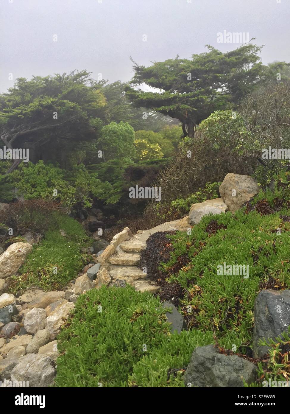 Miramar Kalifornien - Smartphone-aufgenommenes Stockfoto