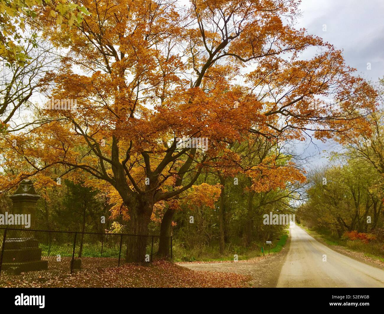 Michigan fallen Szene Stockfoto