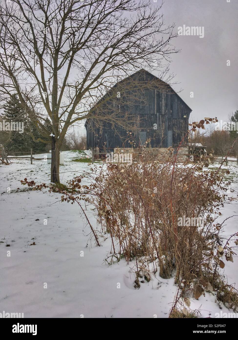Winter alte verwitterte Scheune, auf einem Verschneiten Bauernhof, ländliche Gegend. Stockfoto