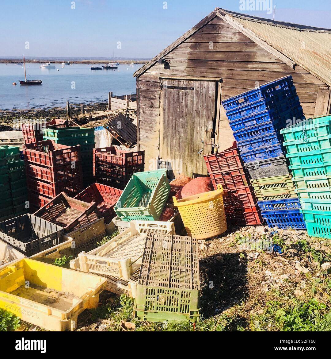 Die Oyster Schuppen Stockfoto