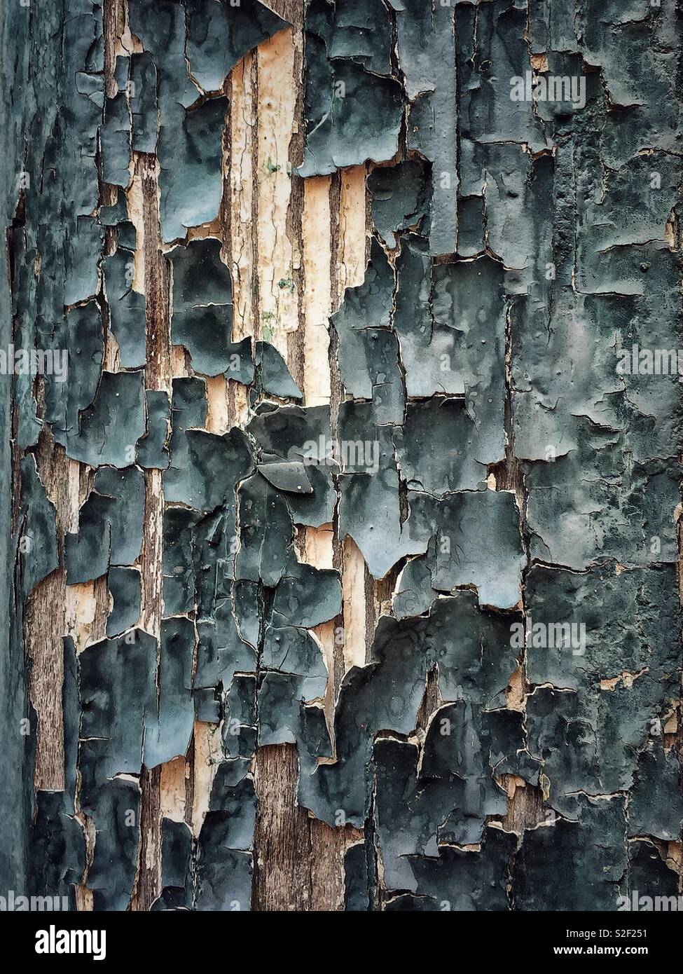 Abblätternde Farbe auf eine Holztür - Smartphone-aufgenommenes Stockfoto