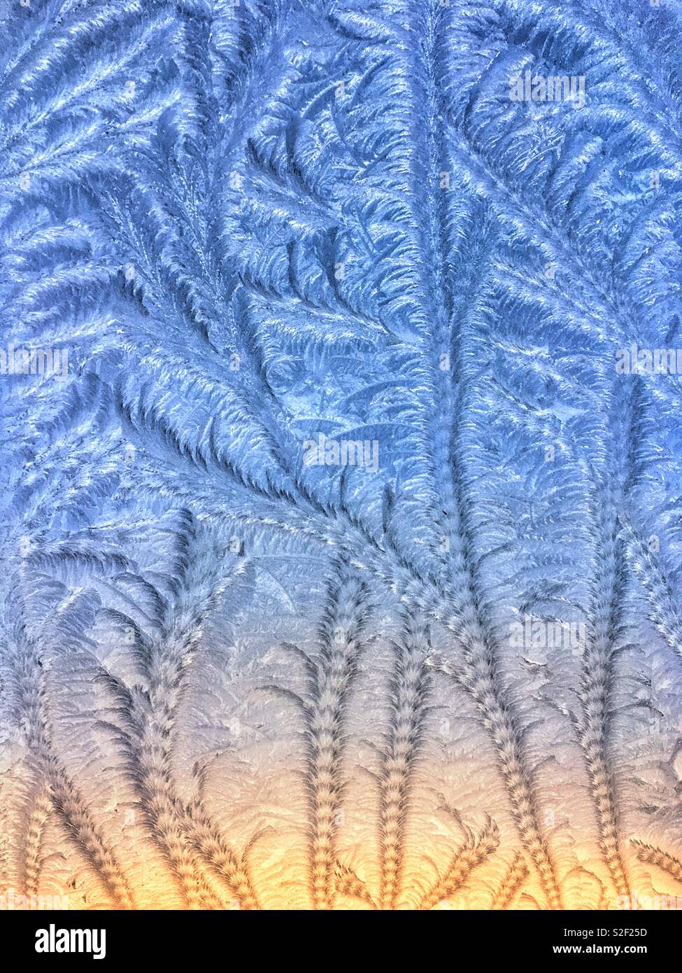 Muster mit Reif bedeckt Fenster Stockfoto