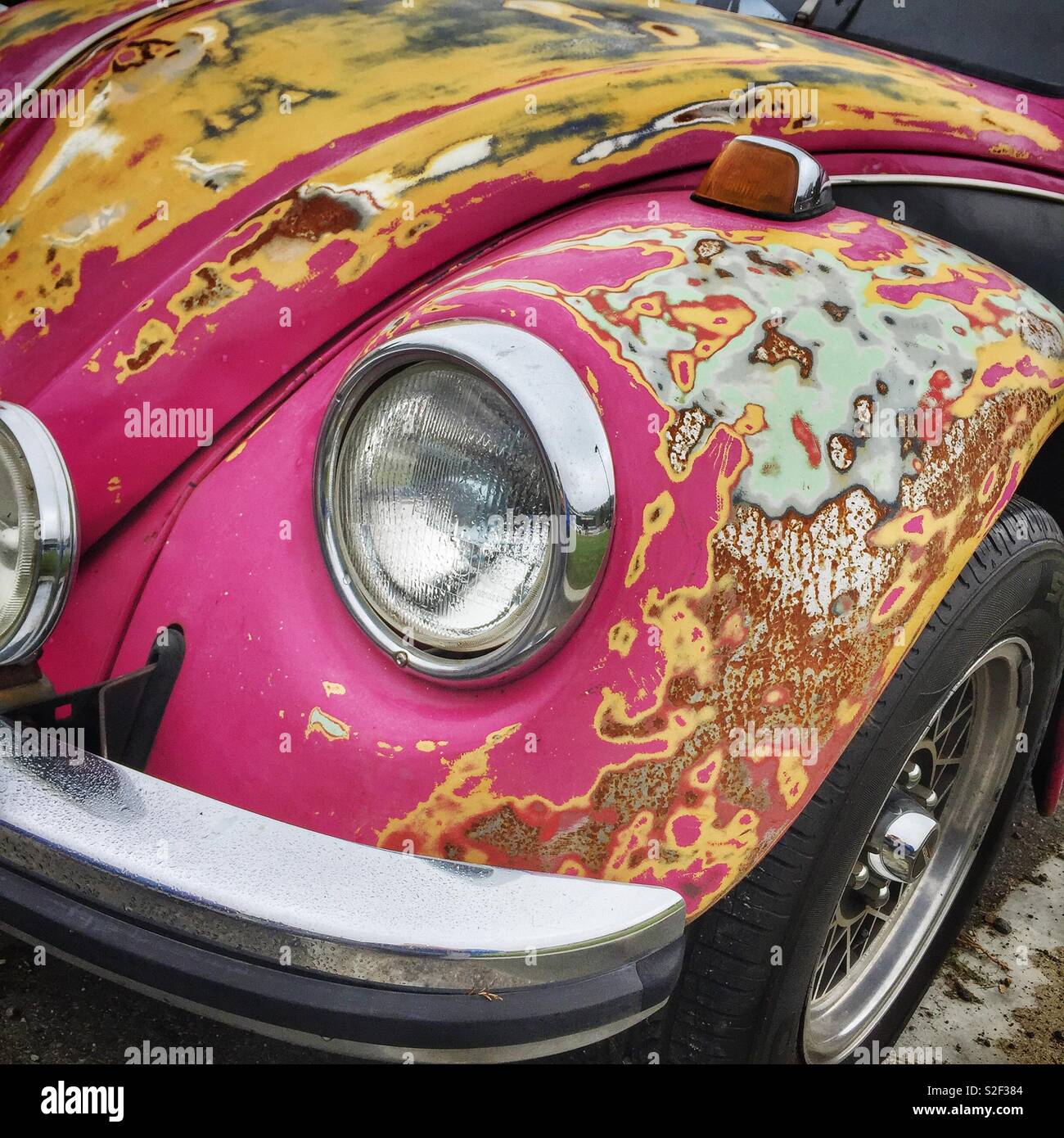 Unbeabsichtigte Kunst: die Geschichte der Lackierung eines VW Käfer  aufgedeckt Stockfotografie - Alamy