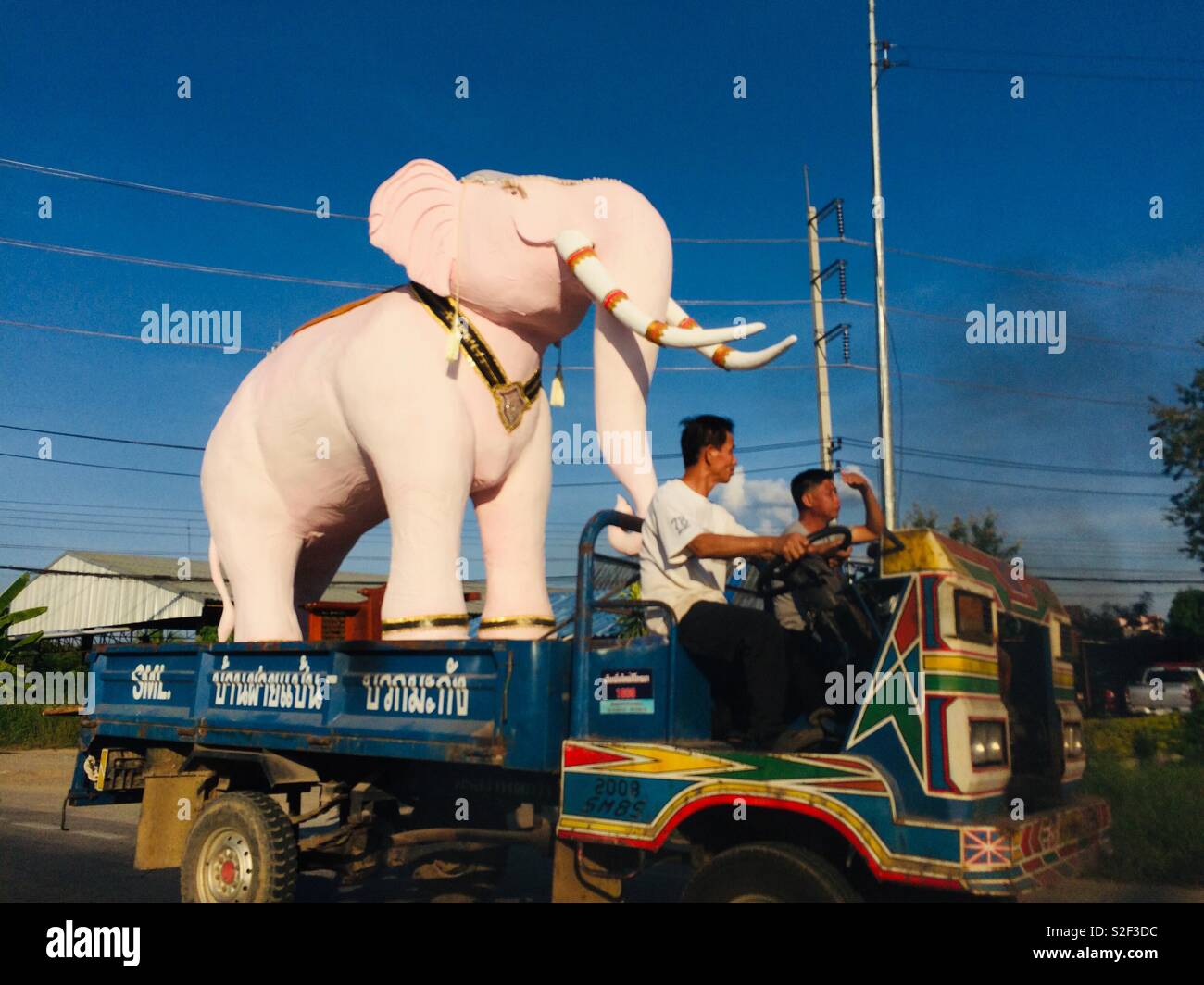 Der weiße Elefant - Smartphone-aufgenommenes Stockfoto