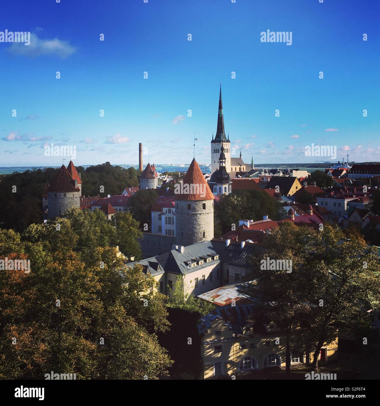 Die turmspitzen und Türme von Tallinn an einem sonnigen Tag Stockfoto