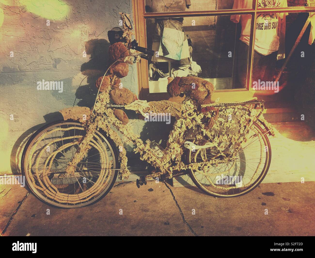 Alte Vintage Fahrrad im Meer Schwämme in Tarpon Feder umwickelt, kleine  griechische Stadt in Florida Stockfotografie - Alamy