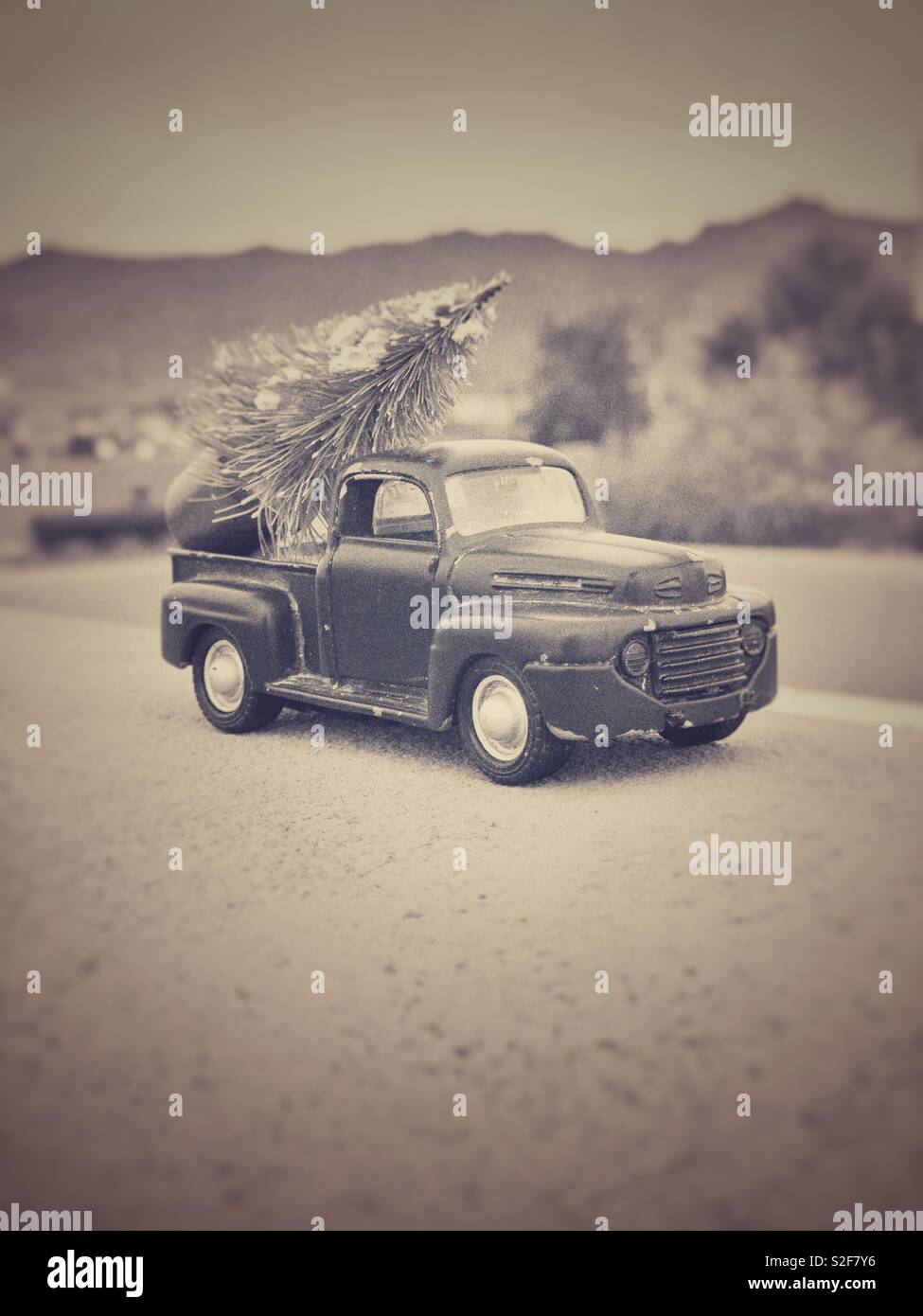Lkw weihnachtsbaum Fotos und Bildmaterial in hoher Auflösung Alamy