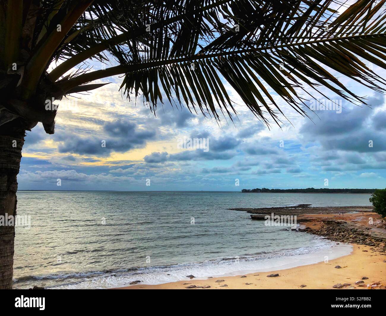 Nahaufnahme von einer Palme mit Strand und Wolken im Hintergrund an Fannie Bay in Darwin, Northern Territory, Australien. Stockfoto