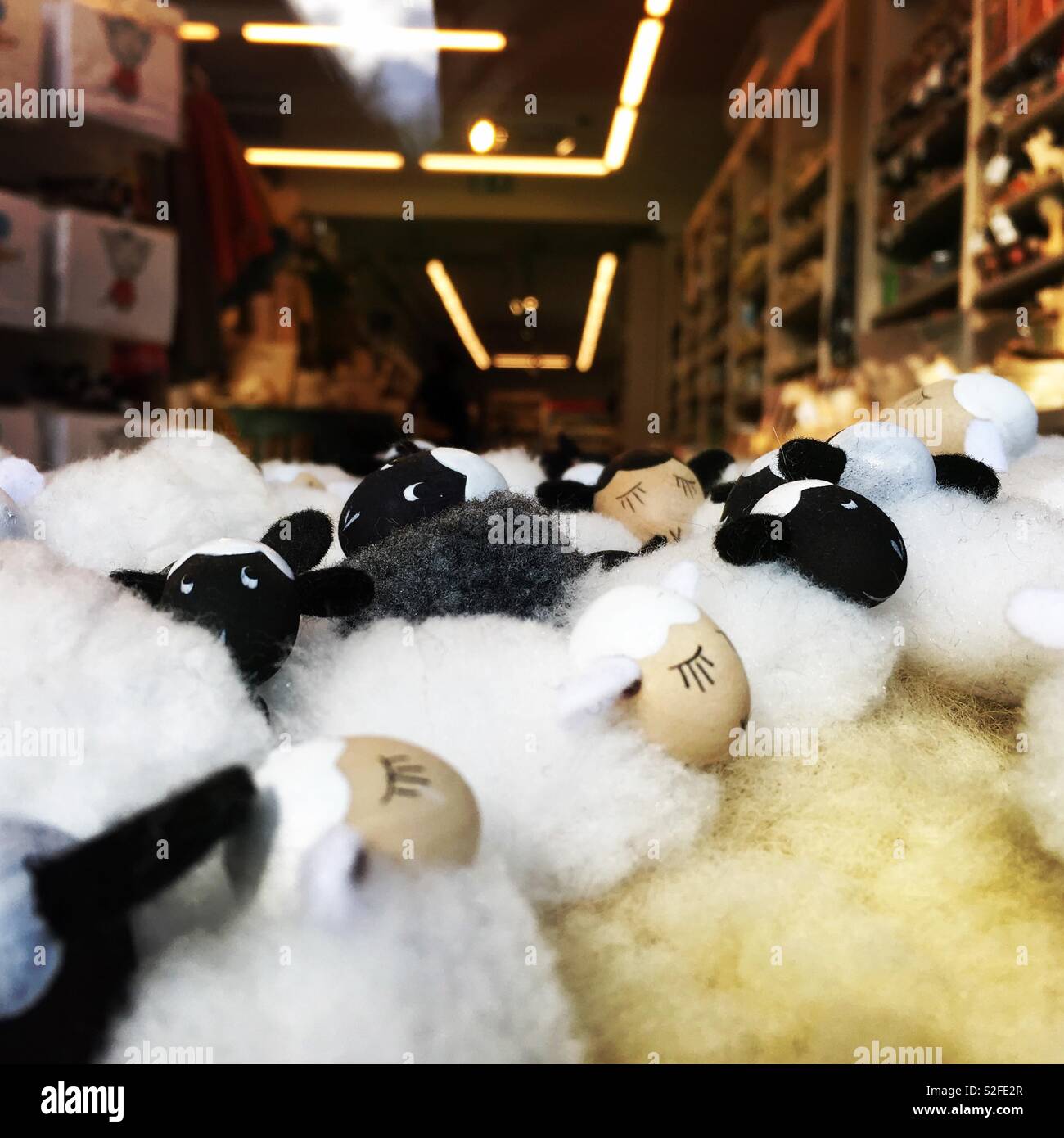 Eine Herde von Schafen, die für den Verkauf in einem Schaufenster Stockfoto