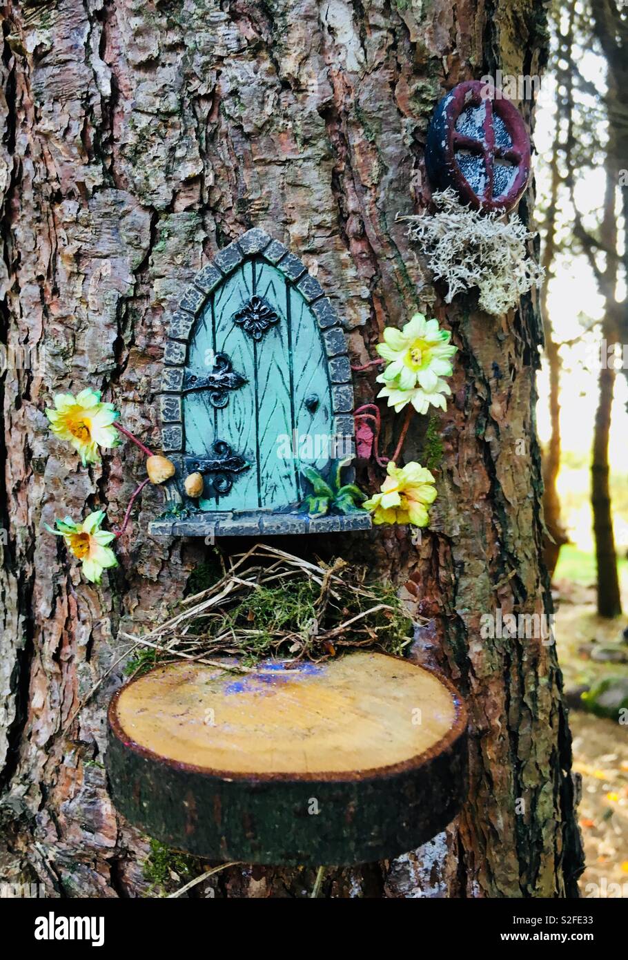 Fee Tür auf der Baumstamm mit Blumen, magischen Haus im Wald Stockfoto