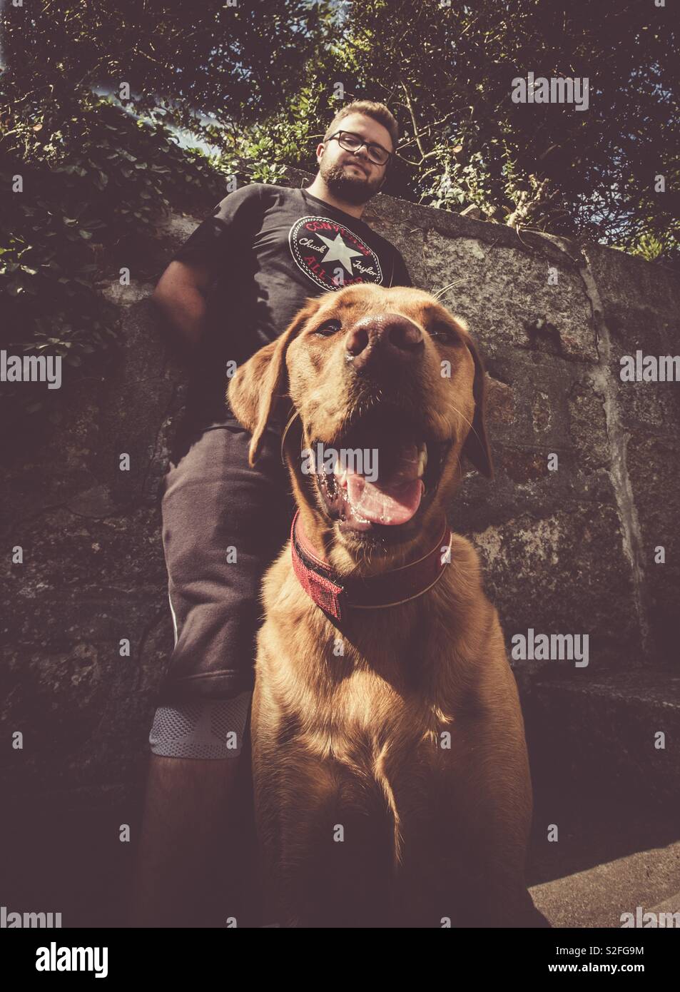 Ein junger Mann mit einem Bart steht hinter seinen großen Hund auf den  Straßen in einem niedrigen Winkel der Hipster und harte Rapper  Stockfotografie - Alamy