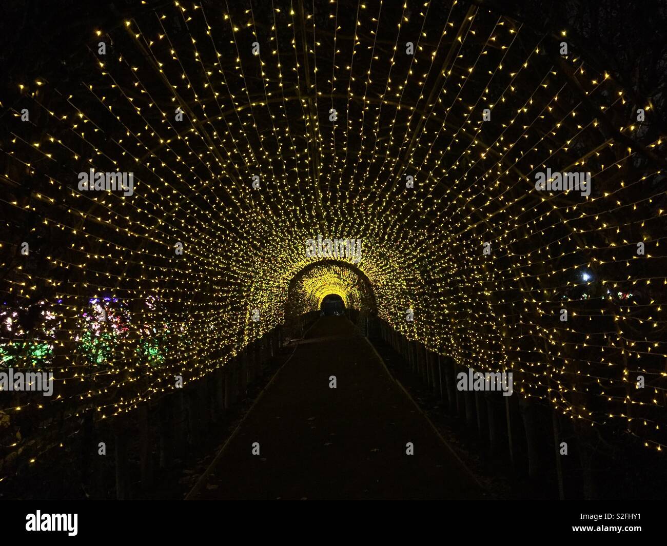 Licht Tunnel am NYC Winter Laternenfest Stockfoto
