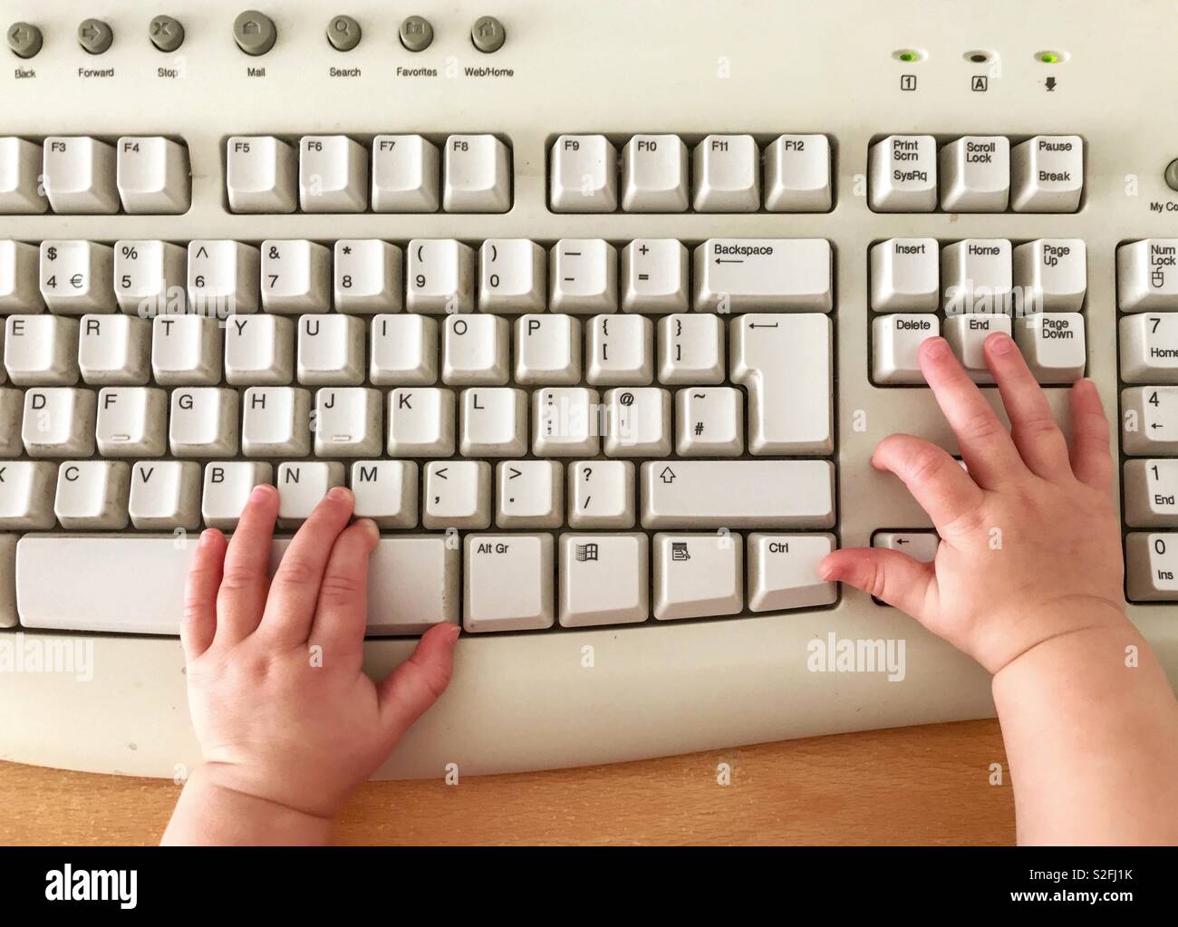 Die Hände eines neun Monate alten Säuglings spielen mit einer PC-Tastatur Stockfoto