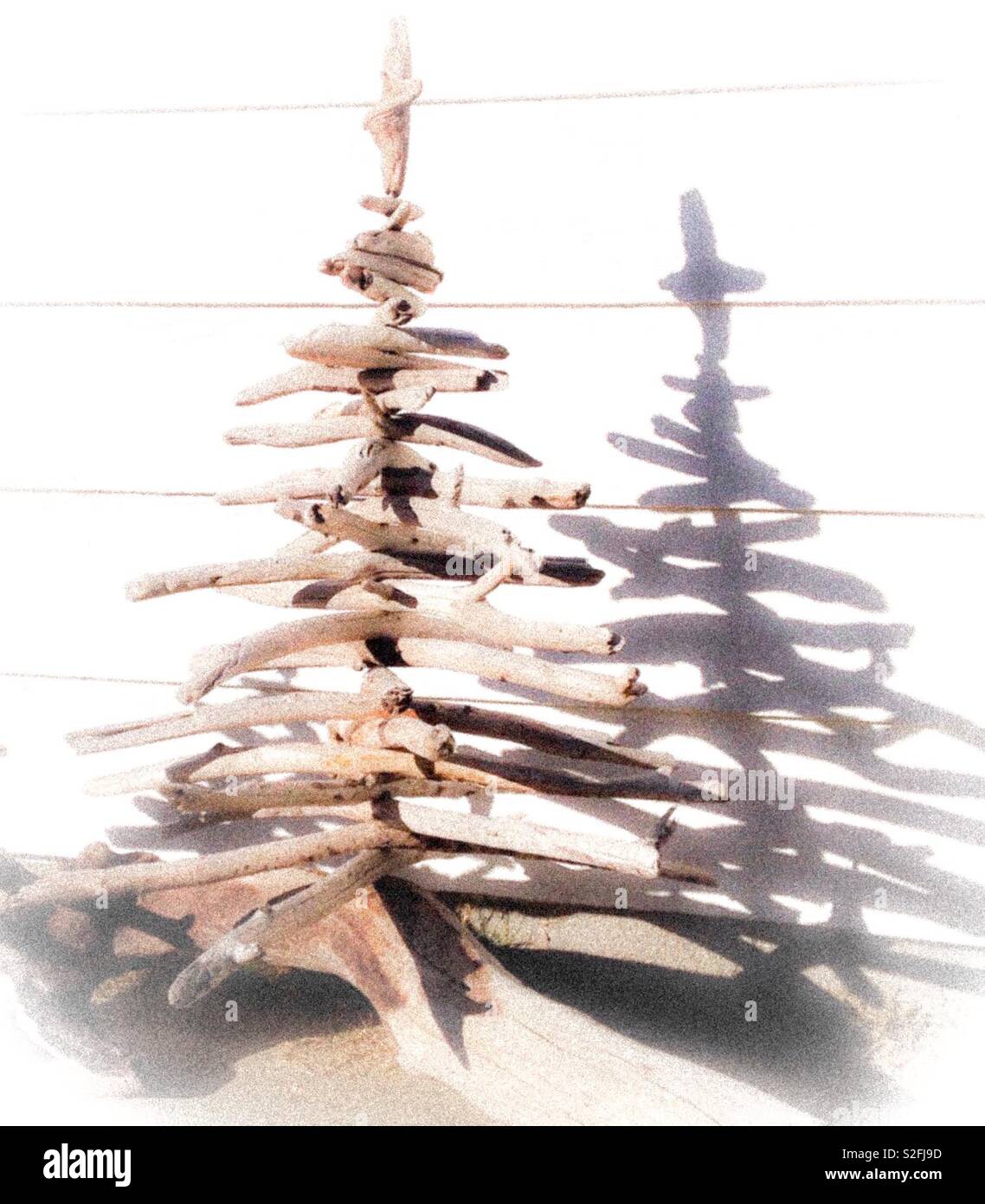 Uberbelichtetes Foto Von Einem Weihnachtsbaum Aus Treibholz Mit Schatten Stockfotografie Alamy