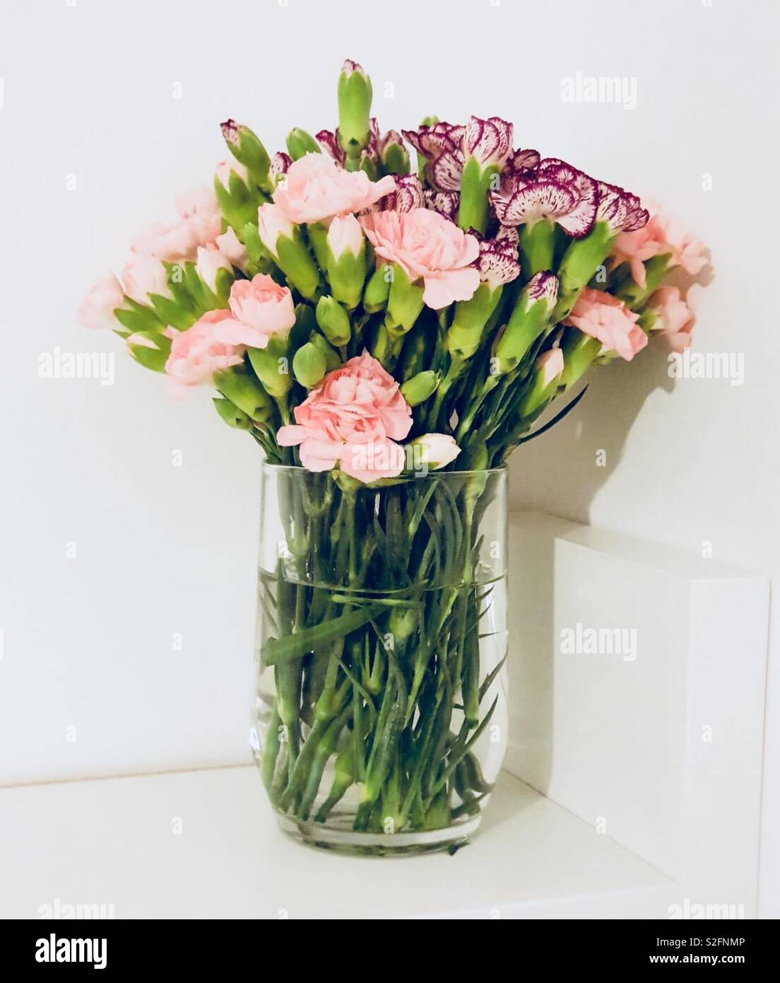 Frisch geschnittenen Nelken in einem Glas Vase Stockfotografie - Alamy