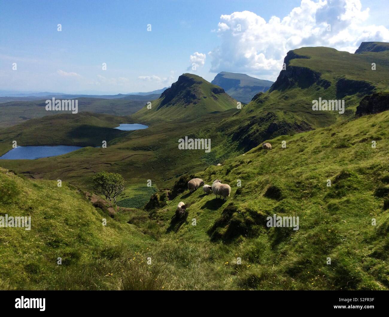 Skye-Landschaft Stockfoto