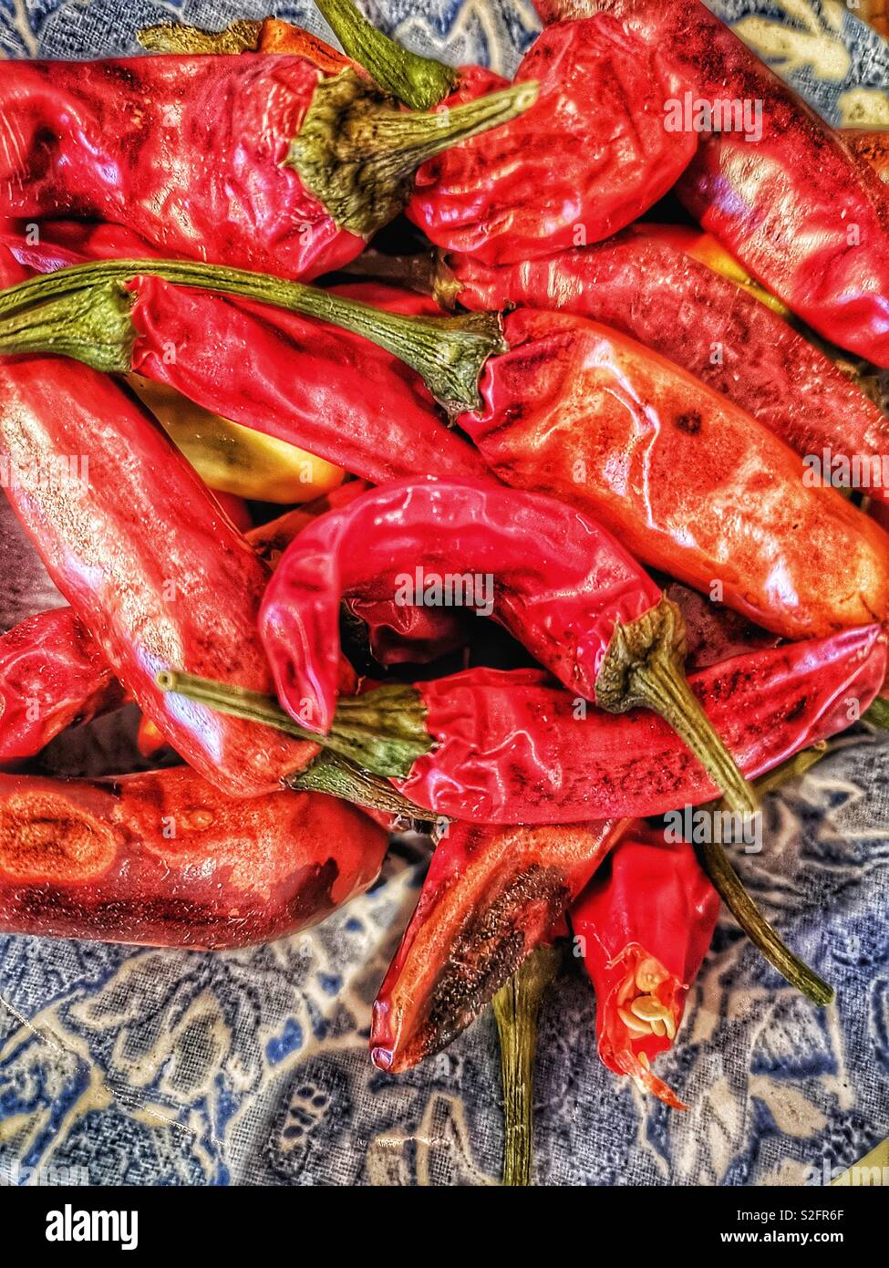 Homegrown rote Chilis Stockfoto