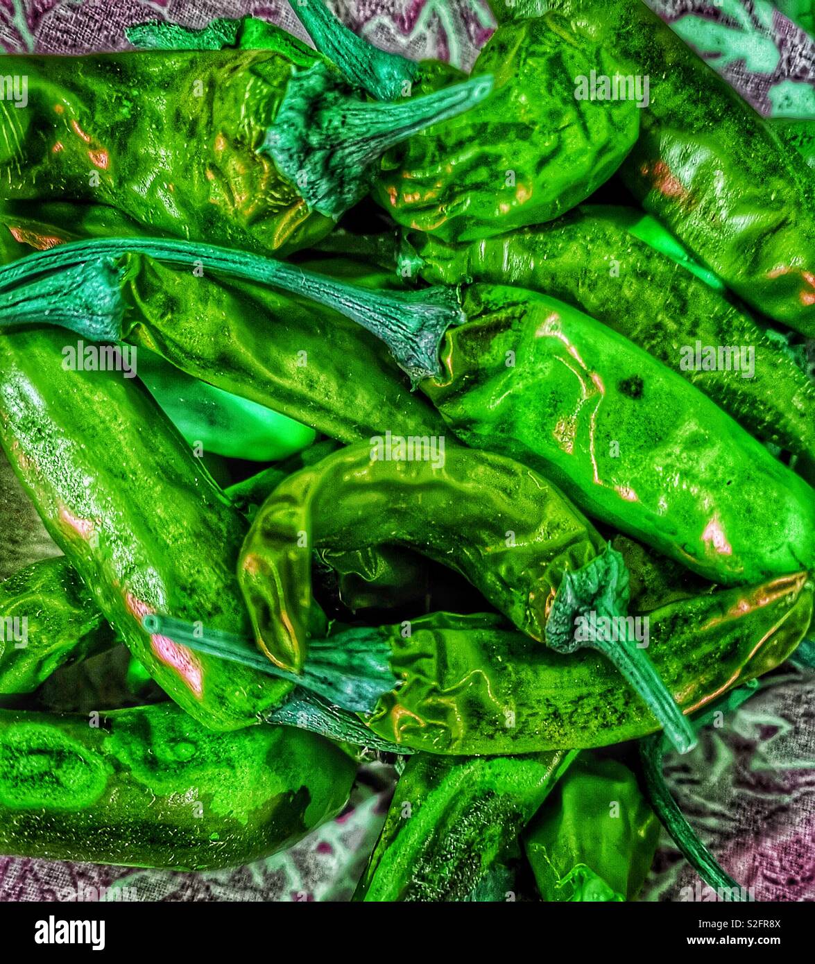 Schüssel homegrown grüne Chilis Stockfoto