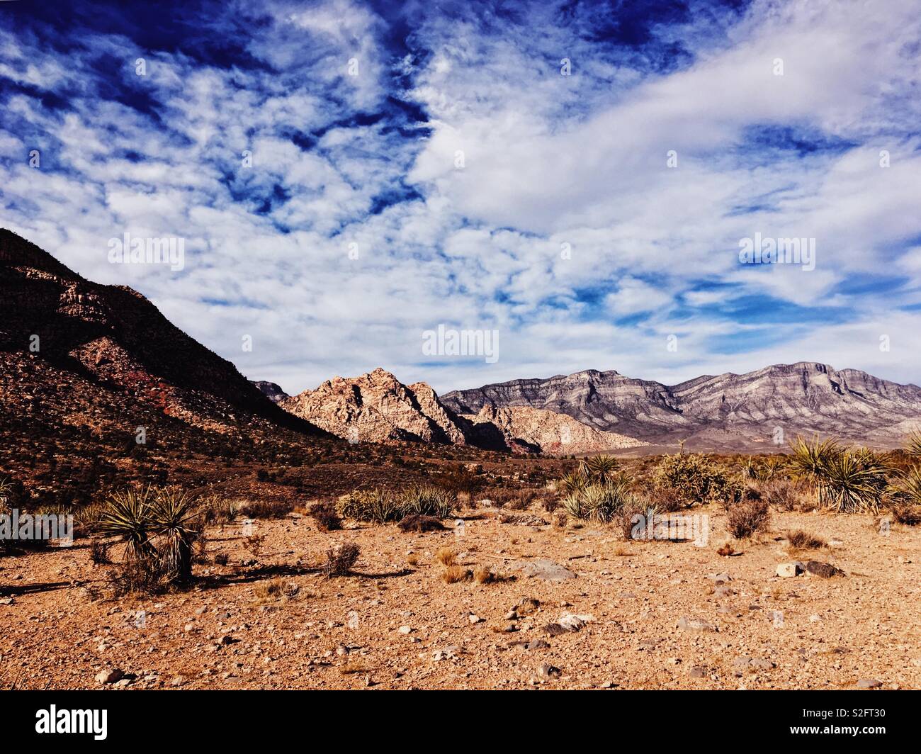 Nevada Wüste in der Nähe von Las Vegas auf einem Dezember sonnigen Tag. Stockfoto