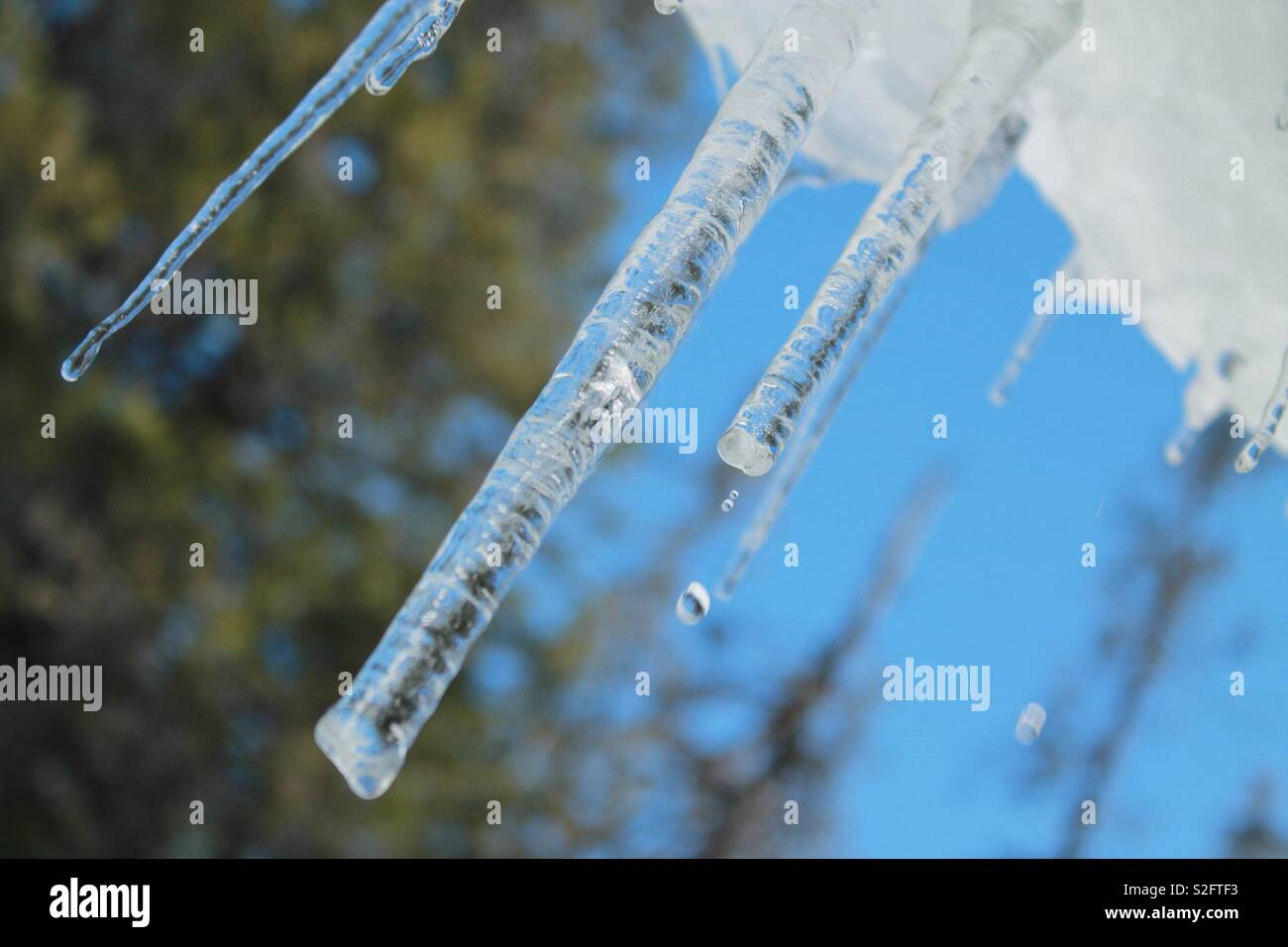 Eiszapfen Stockfoto