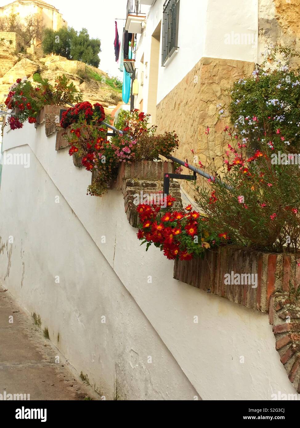 Setenil de las Bodegas, Cadiz, Andalusien, Spanien. Blumen in Töpfen auf Schritte - Smartphone-aufgenommenes Stockfoto
