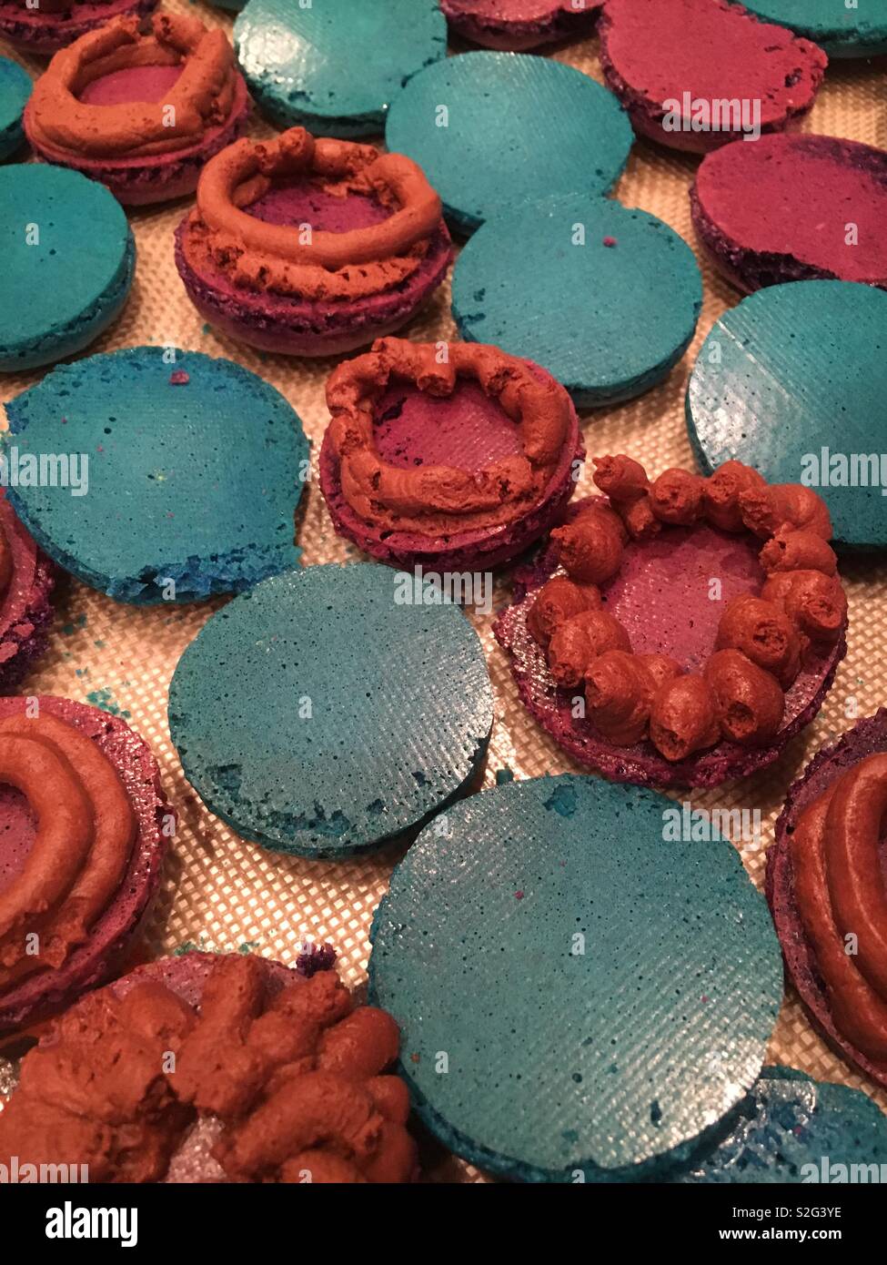 Blau und lila Macaron Cookies mit schokoladenfüllung wie gebackene und köstlichen Leckereien vorbereitet. Stockfoto