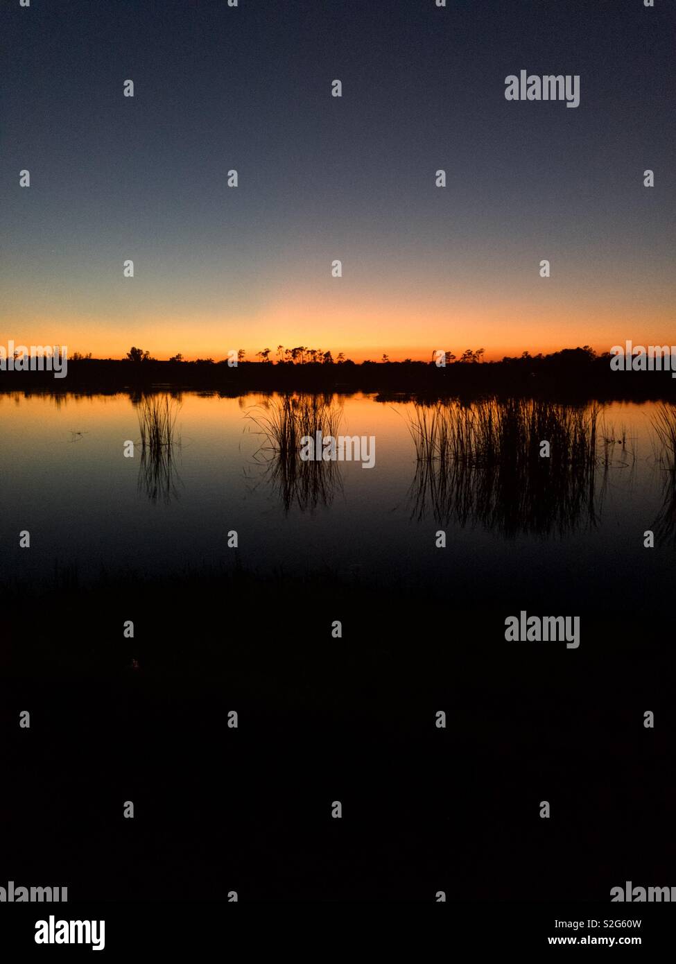 Florida sunset Stockfoto