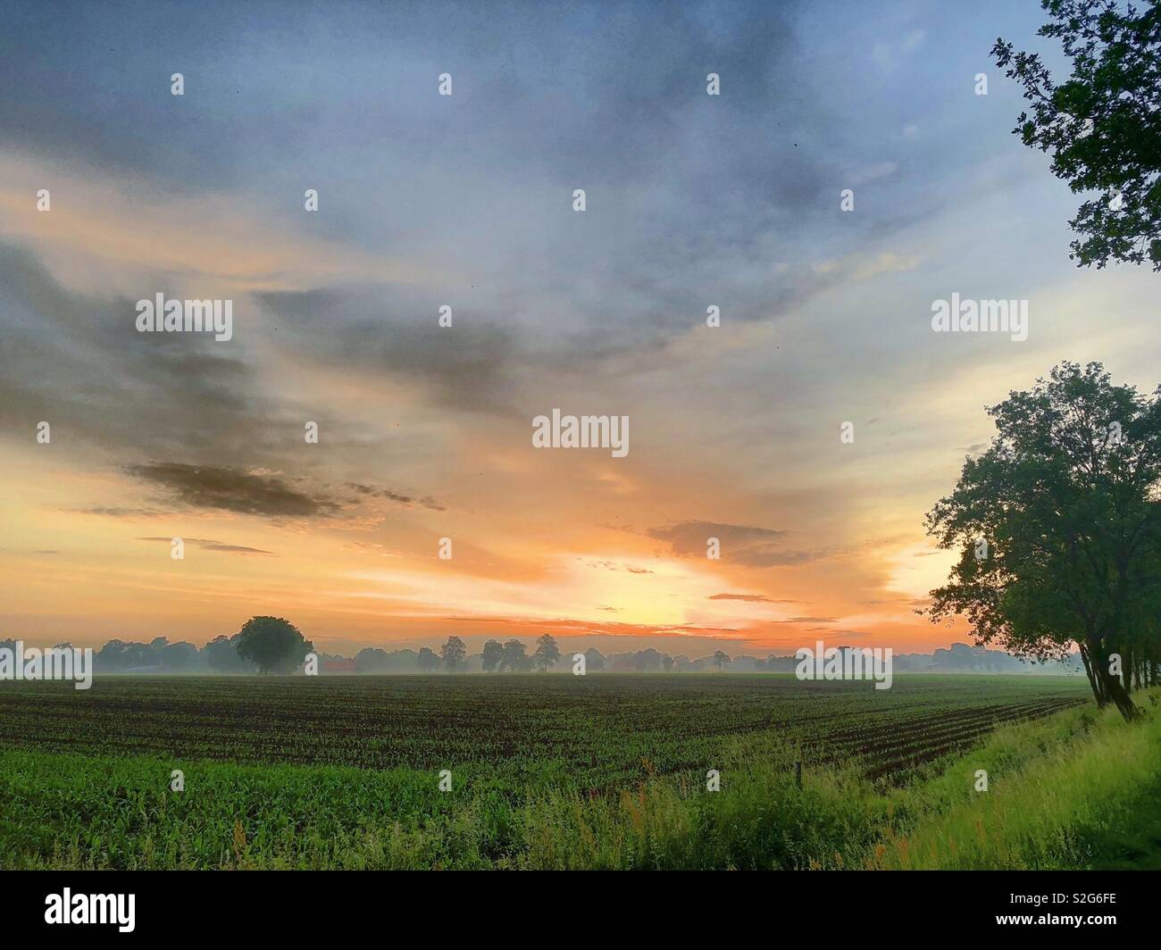 Dramatische und Bunte sunrise Himmel über einem ländlichen Landschaft mit Wolken, die wie Pinselstriche auf einem Gemälde - Smartphone-aufgenommenes Stockfoto