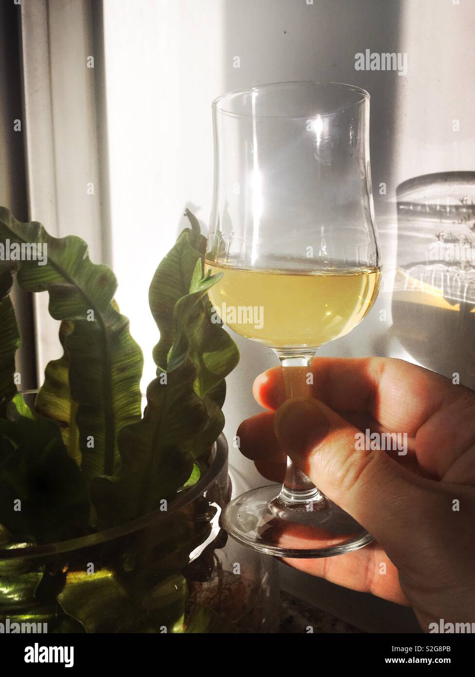 Mann hält ein Glas Whisky in der Hand - Smartphone-aufgenommenes Stockfoto