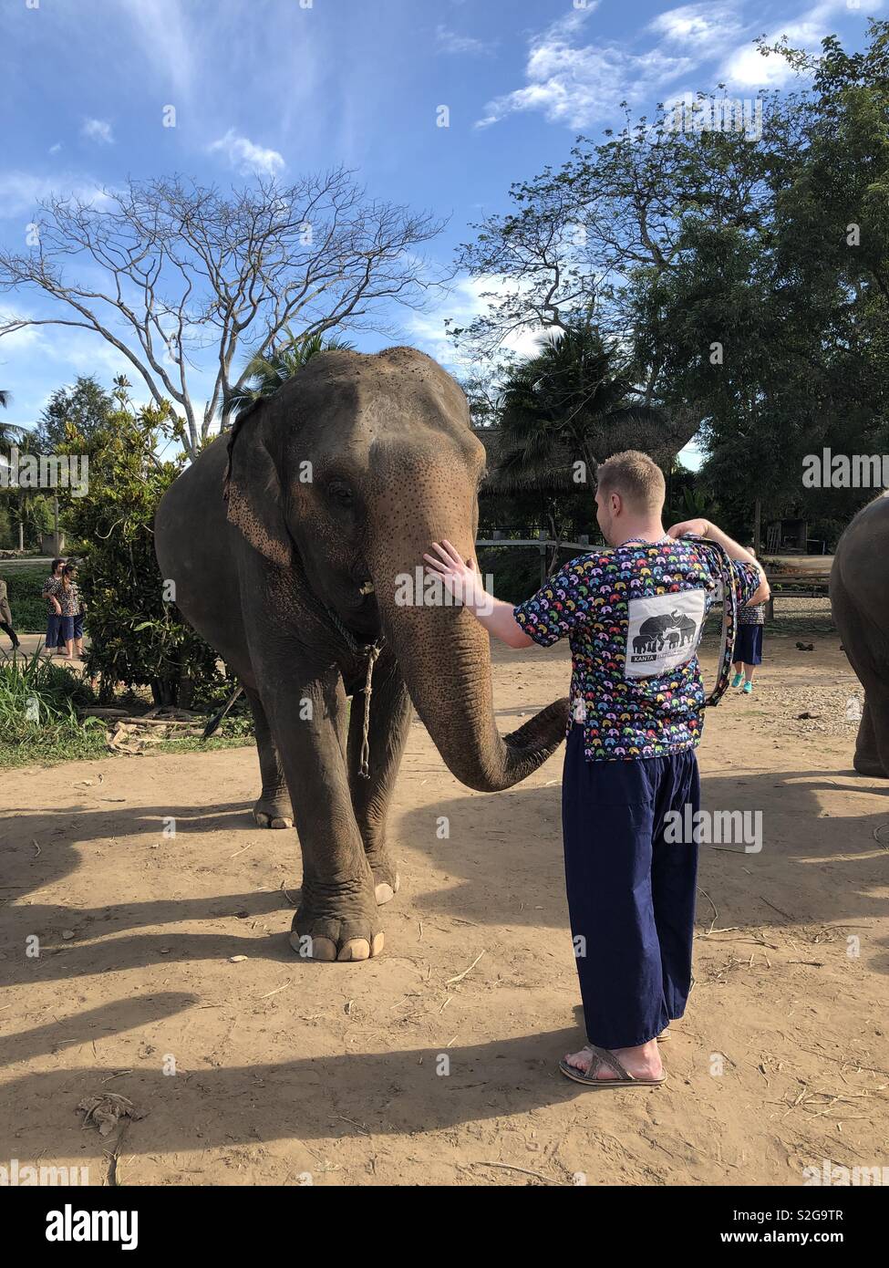 Elephant Sanctuary Chiang Mai Stockfoto