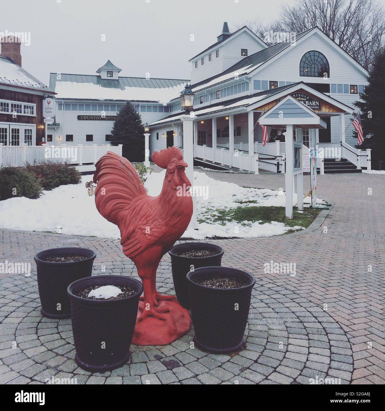 Hahn Statue, Kringle Candle Company, Bernardston, Massachusetts, Vereinigte Staaten von Amerika - Smartphone-aufgenommenes Stockfoto