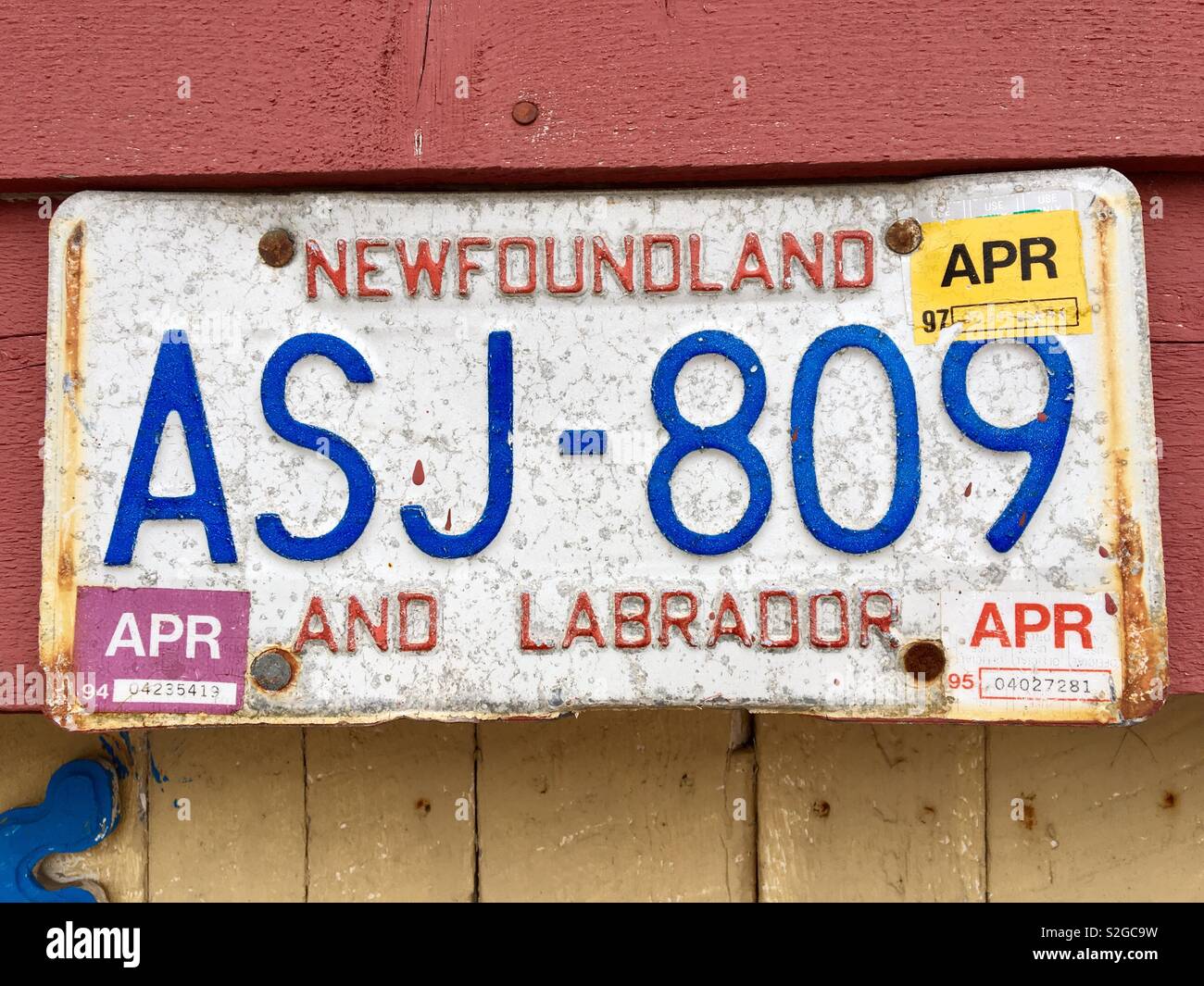 Alten Neufundland und Labrador Auto Nummernschild Stockfoto
