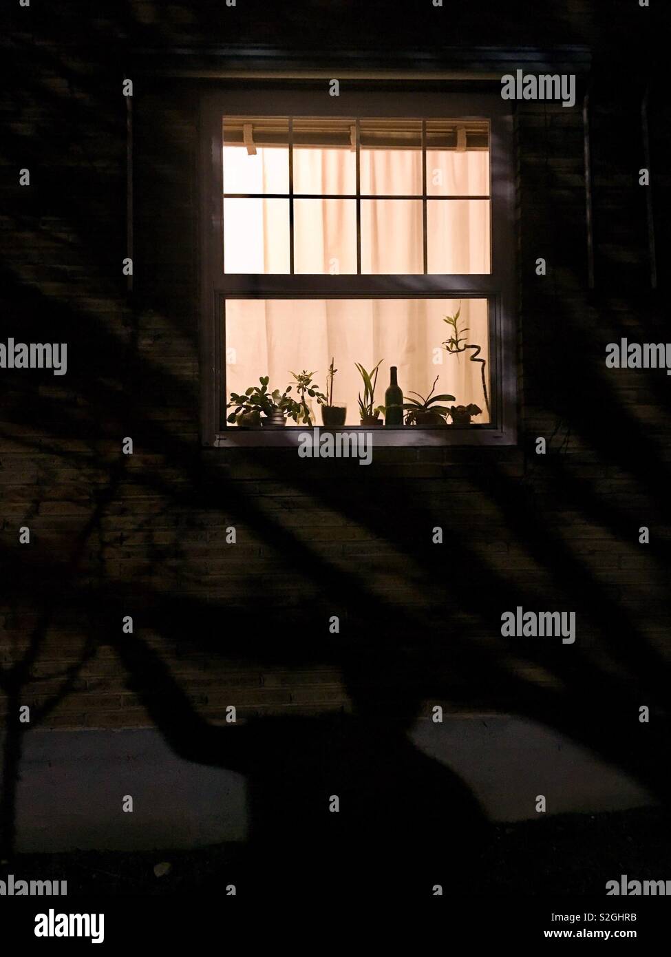 Ein Fenster in der Nacht Stockfoto