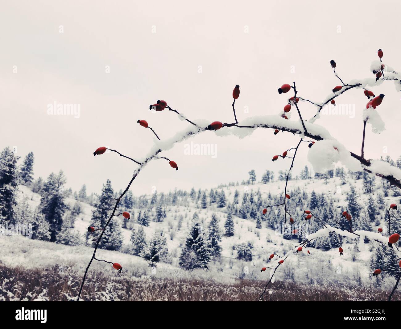 Romantik Ansichtskarte Winterlandschaft und Abendstimmung Spuren im Schnee 