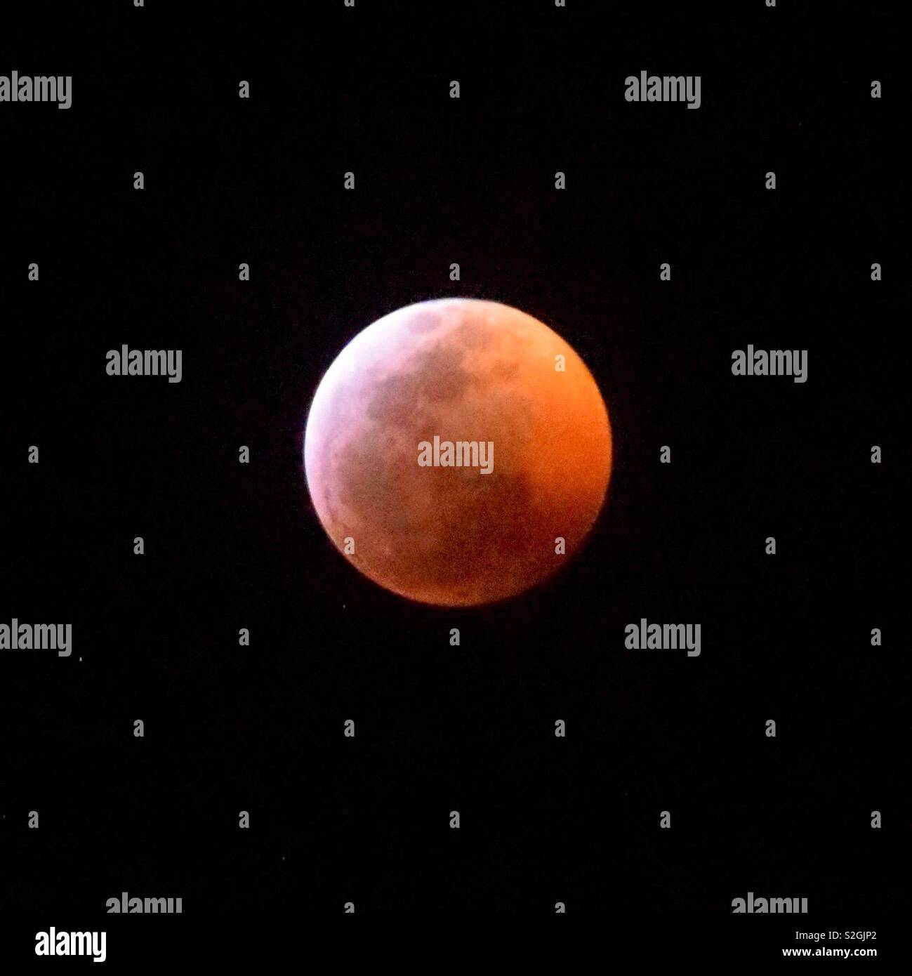 Super Blut Wolf Mond Stockfoto