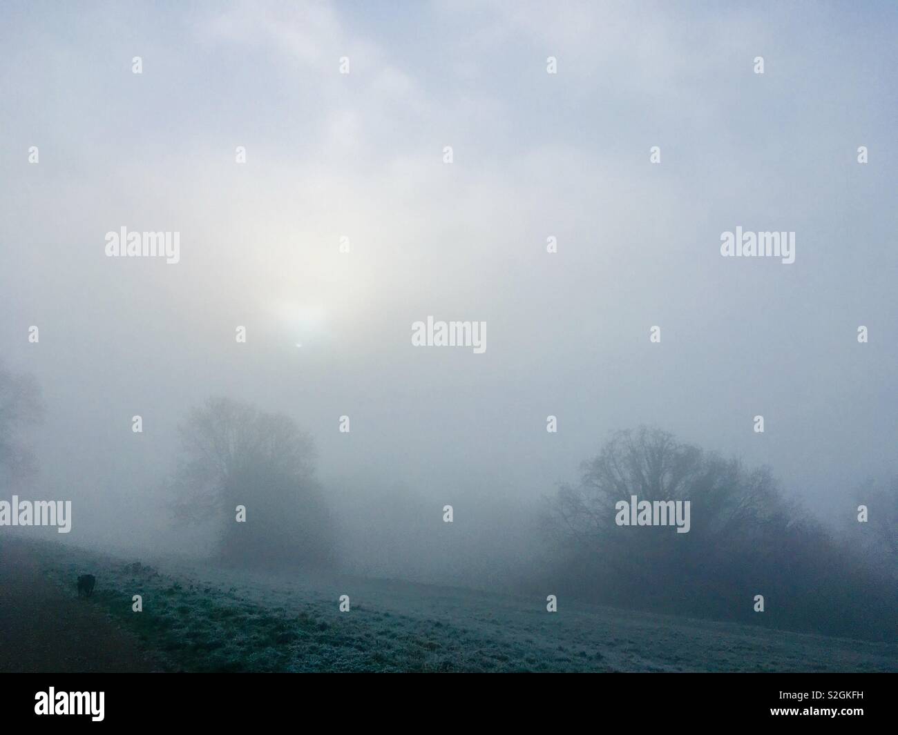 Ein nebeliger Morgen über gemeinsame Land. Hazy Sonnenschein, Bäume und Pfad. Stockfoto