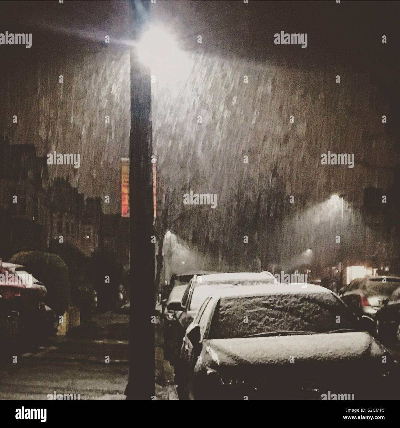 Schnee fällt und sackt auf Autos, ruhige Seitenstraße, Twickenham, England. - Smartphone-aufgenommenes Stockfoto