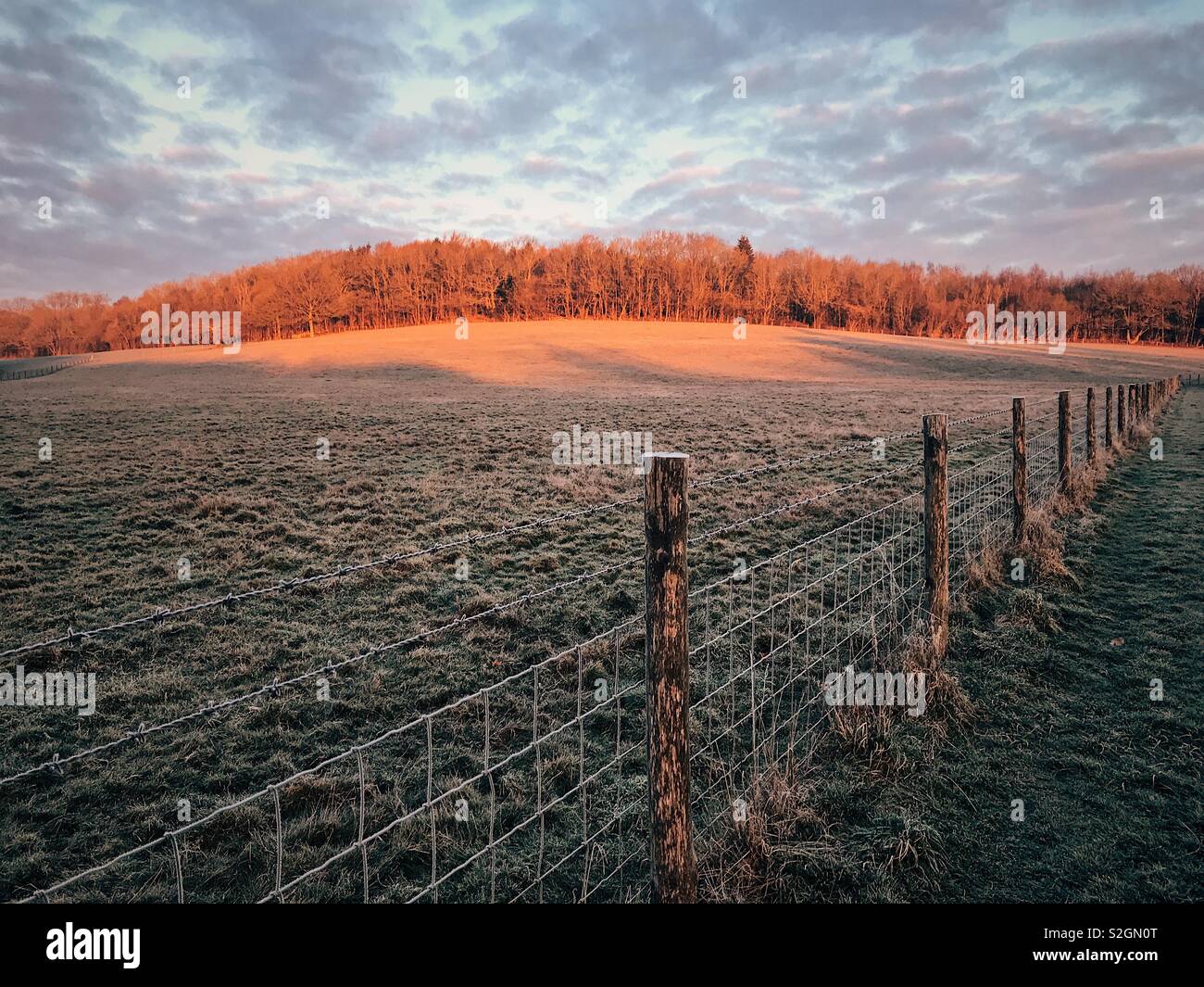 Sunrise, Shipbourne, Kent, Großbritannien. 24. Januar 2019 Stockfoto