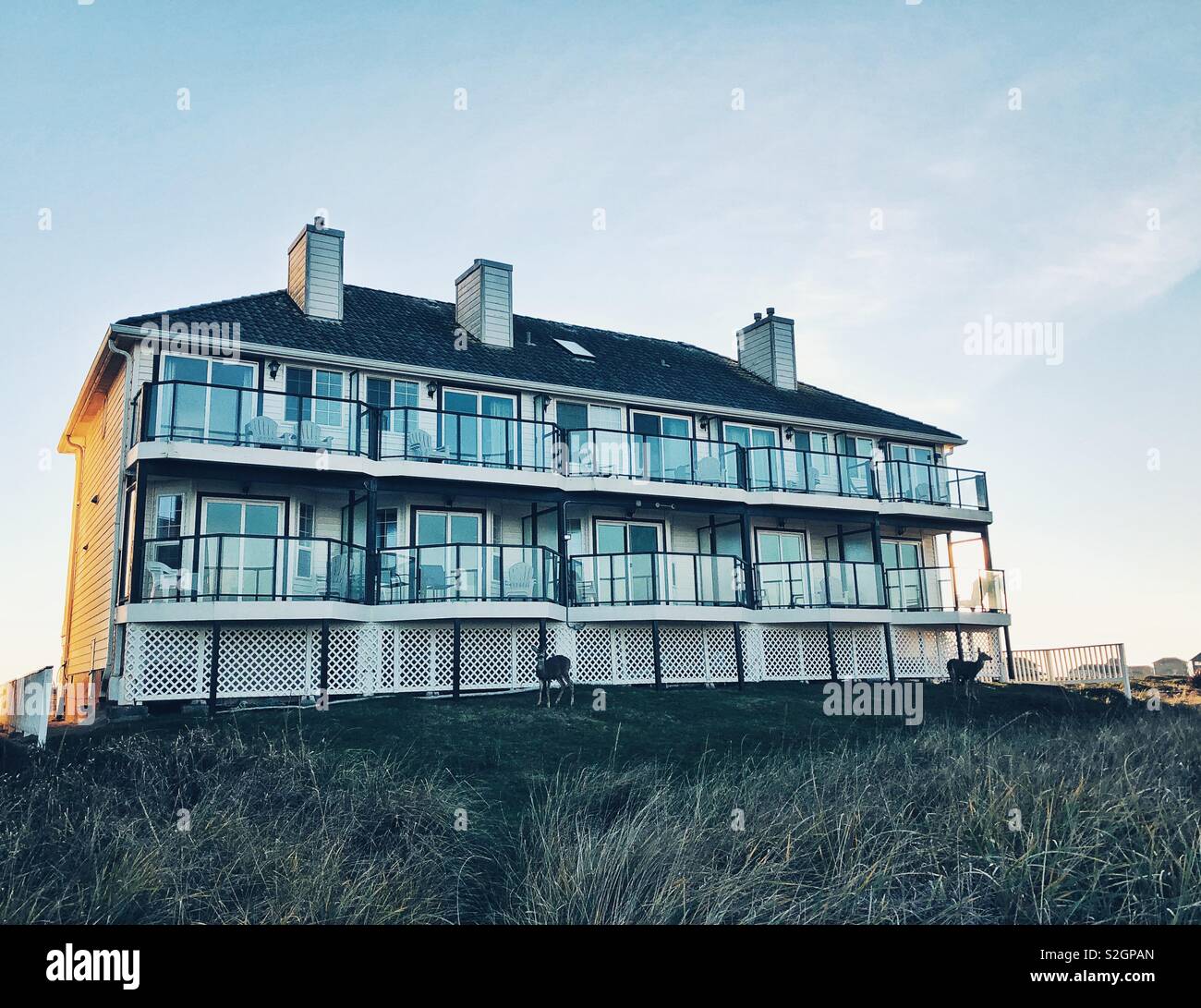 Ferienwohnung am Strand in Ocean Shores, WA, und Fütterung Rehe in der Nähe - Smartphone-aufgenommenes Stockfoto