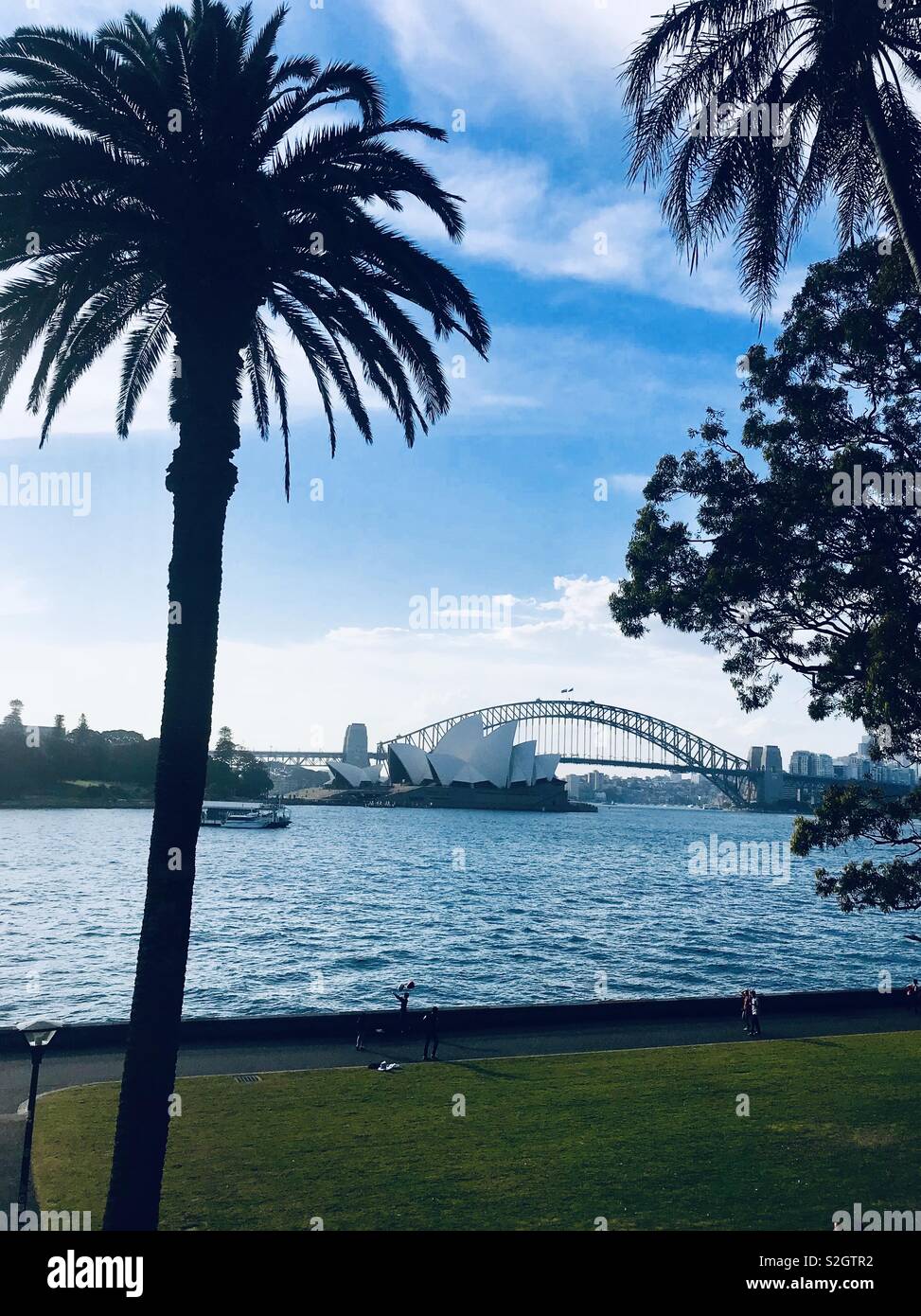 Palmen Framing der schöne Blick auf die Sydney Harbour Bridge und der Oper über das Wasser in die Botanischen Gärten, Australien, NSW Stockfoto