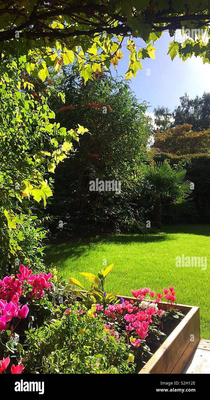 Englischer Garten - Smartphone-aufgenommenes Stockfoto