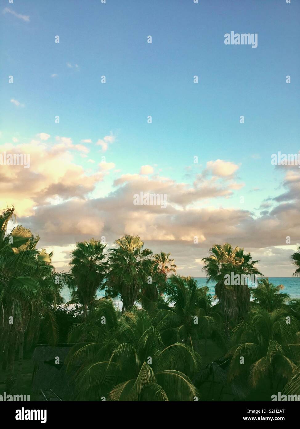 Blick vom Balkon auf Dächern von Palmen, Sonnenuntergang und das Karibische Meer in Varadero Kuba. Januar 2019 - Smartphone-aufgenommenes Stockfoto