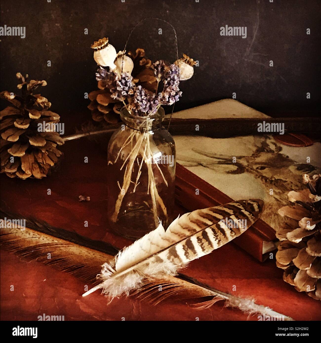 Stilleben mit Fasan Federn und poppyseed Köpfe auf braunem Hintergrund Stockfoto