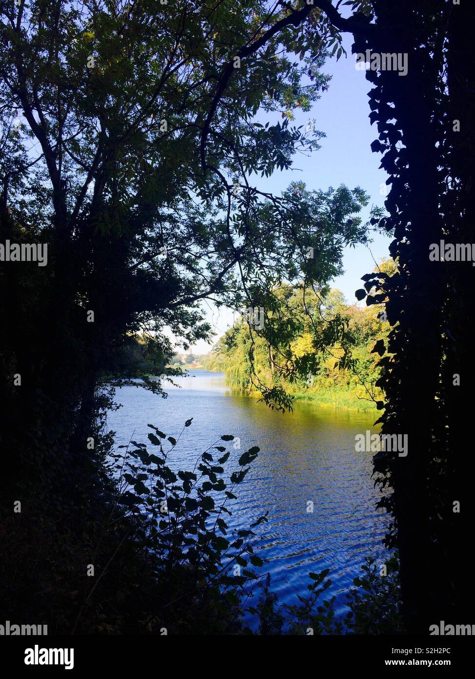 Malerische Aussicht Landschaft auf den Fluss Liffey an einem sonnigen Tag im Herbst in Dublin Irland Konzept Natur - Smartphone-aufgenommenes Stockfoto