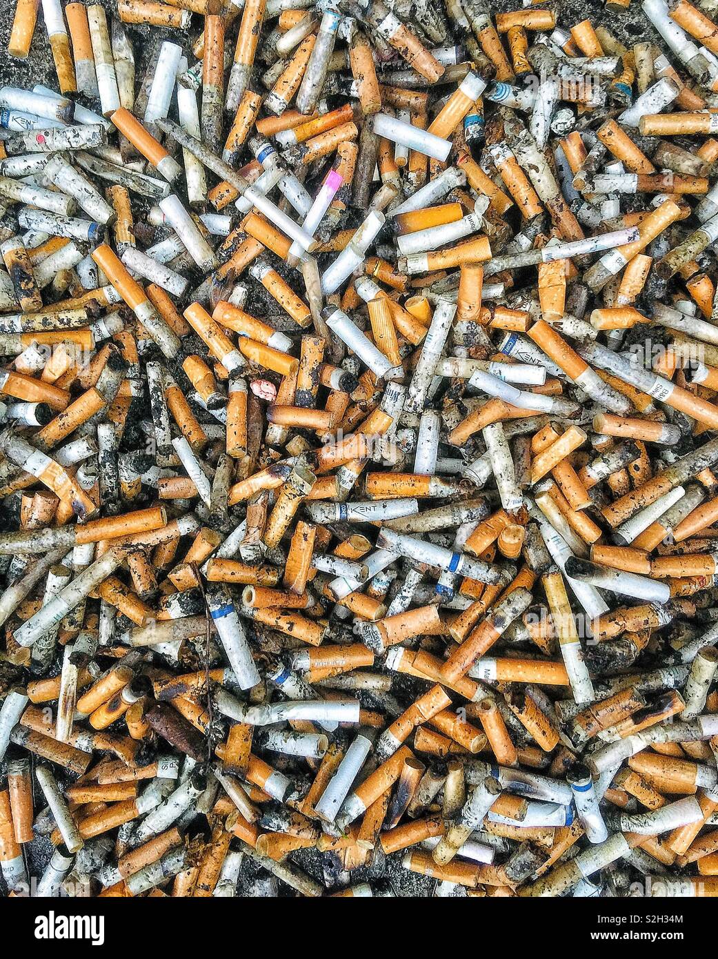 Zigarettenkippen. Stockfoto
