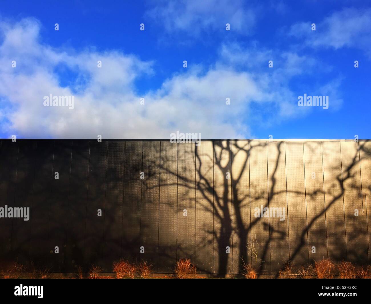 Schatten des Baumes an der Wall gegen den blauen Himmel mit weißen Wolken Stockfoto