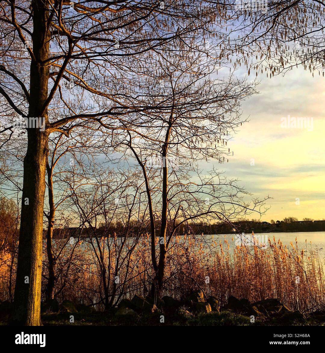 Auf dem Weg zur Arbeit, am frühen Morgen, schönen Himmel und schöne Bilder Stockfoto