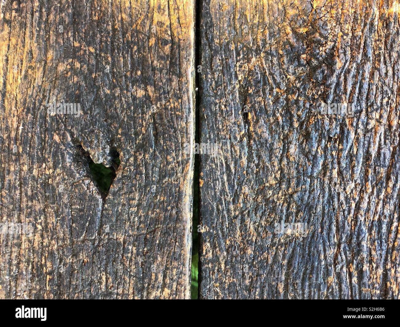 Herz geformte Knoten auf einem alten hölzernen Board Stockfoto