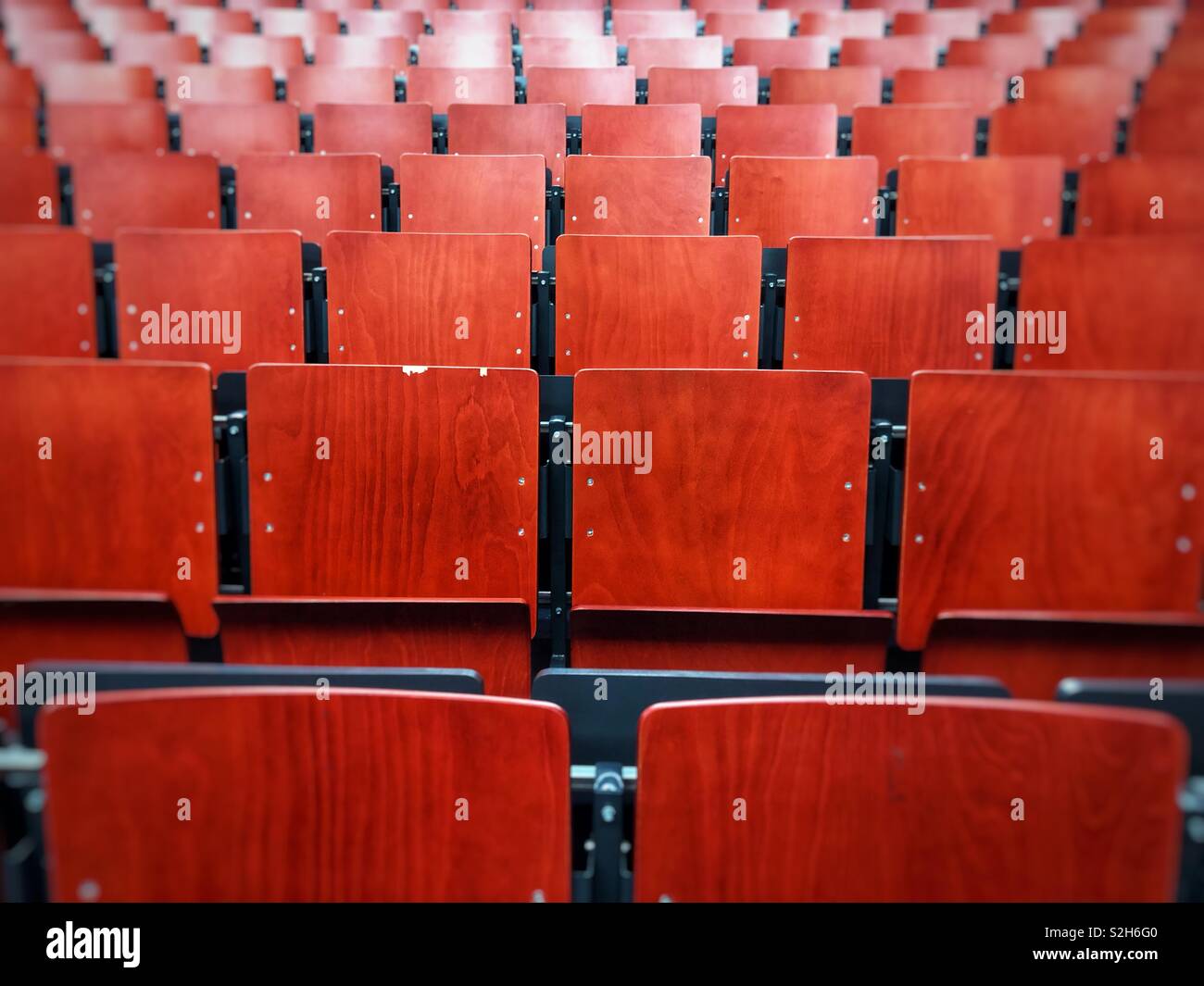 Leere Stühle in uni auditorium Stockfoto